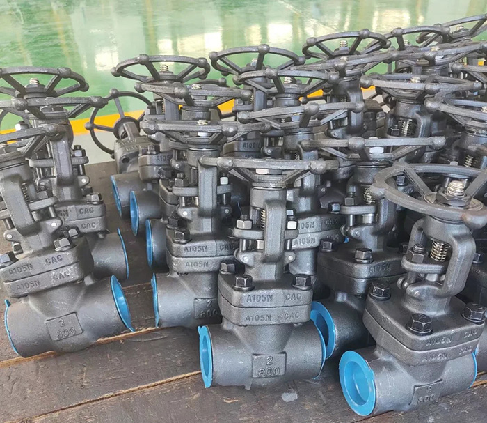 A105N forged steel gate valve