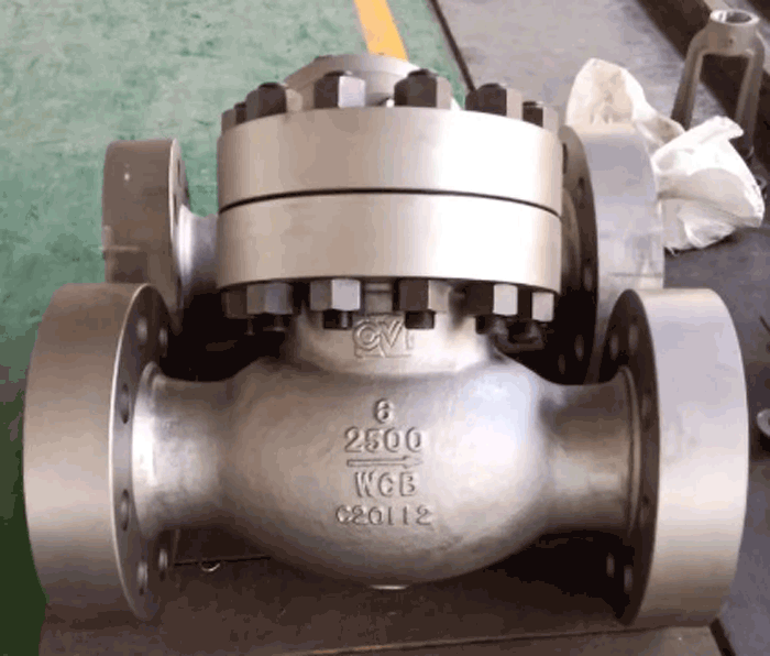 Check valve WCB NPS8 CLASS 2500